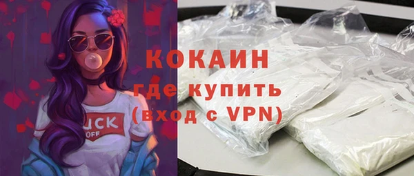 стаф Верея