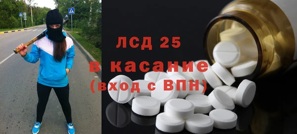 стаф Верея
