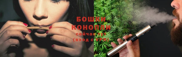 стаф Верея