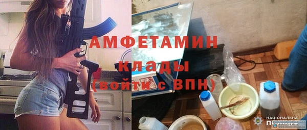 стаф Верея