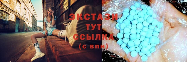 стаф Верея
