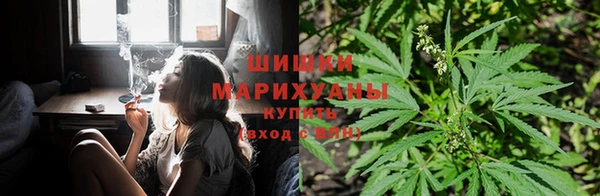 apvp Верхний Тагил