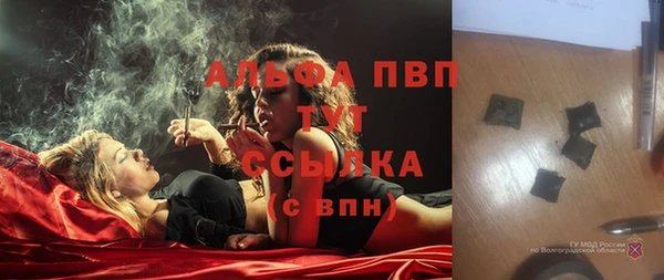 стаф Верея