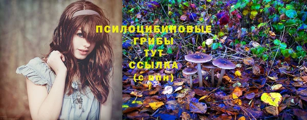 ПСИЛОЦИБИНОВЫЕ ГРИБЫ Верхнеуральск