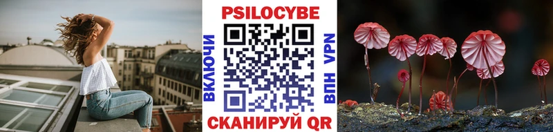 Псилоцибиновые грибы прущие грибы  Казань 